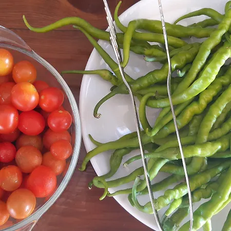 Geyikli Berfin 3* Dalyanköy