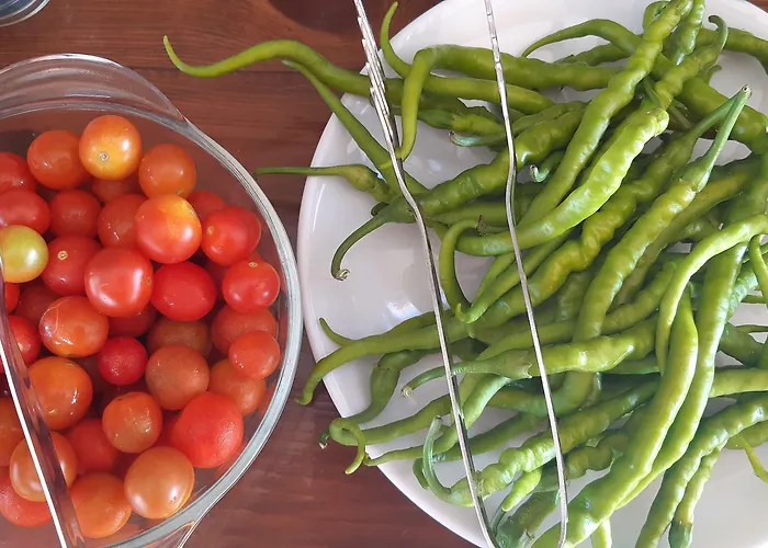 Geyikli Berfin 3* Dalyanköy